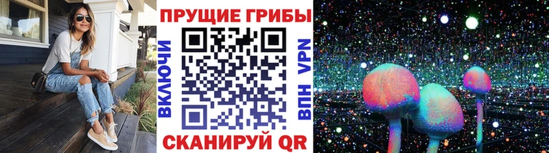Галлюциногенные грибы ЛСД  как найти закладки  Советская Гавань 